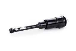 Lexus LS 600H (USF40) 2WD+4WD With AVS (Adaptive Variable Suspension) Rear Left Air Strut