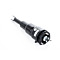 Lexus LS 460 (2WD) Front Right Air Strut with AVS (Adaptive Variable Suspension) 48010-50151