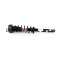 Cadillac CT6 4WD Omega Rear Right and Left Shock Absorber (coil spring assembly) 2016 - 2021 with Magnetic Ride 23276555