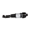 Mercedes-Benz CLS Class C219 Right Front Shock 2004