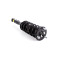 Toyota Crown with AVS S210 Front Left Shock Absorber (coil spring assembly) 2012 - 2018 2012
