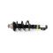 Porsche Cayman 987 Rear (Left or Right) Shock Absorber Coil Spring Assembly with PASM 98733305308