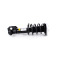 Mercedes-AMG E63 4MATIC (E Class W212, S212) Front Left Shock Absorber Coil Spring Assembly with AMG-Ride-Control A2123201466
