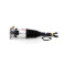 Bentley Continental Flying Spur (3W5) Rear Left Air Strut with CDC 2005-2013 3W5616001C